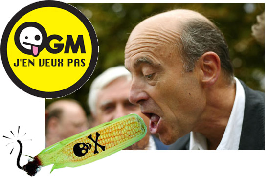 Juppé et les OGM