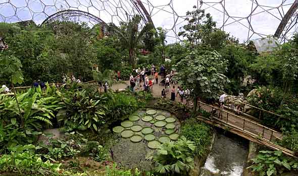 Eden oasis